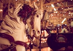 Carousel steed by Jennifer MacNeil
