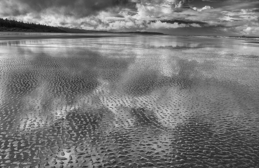 Black And White Best In Category Combers Beach By Robert Nowak