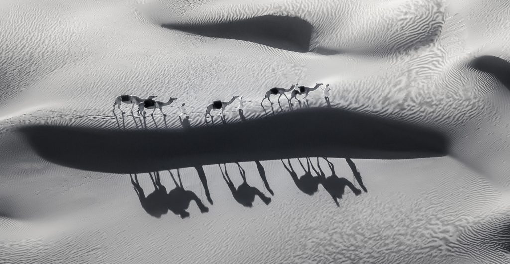Drone And Aerial Photography Best In Category Camels And Shadow By Samir Al Busaidi