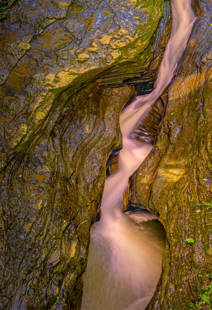 Natural Landscapes Honorable Mention Cascade Of Life Watkins Glen Ny By Martin Heavner
