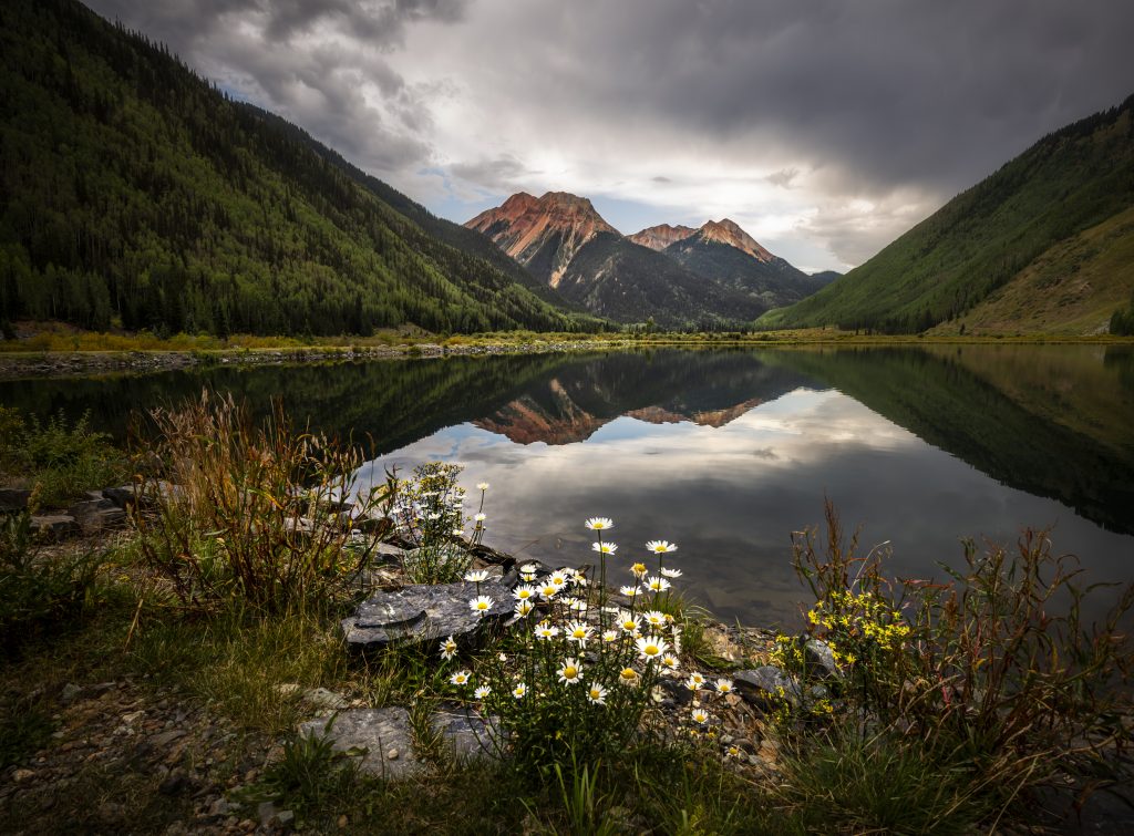 Natural Landscape Honorable Mention Crystal Lake Flowers And Reflections By Michael Taylor