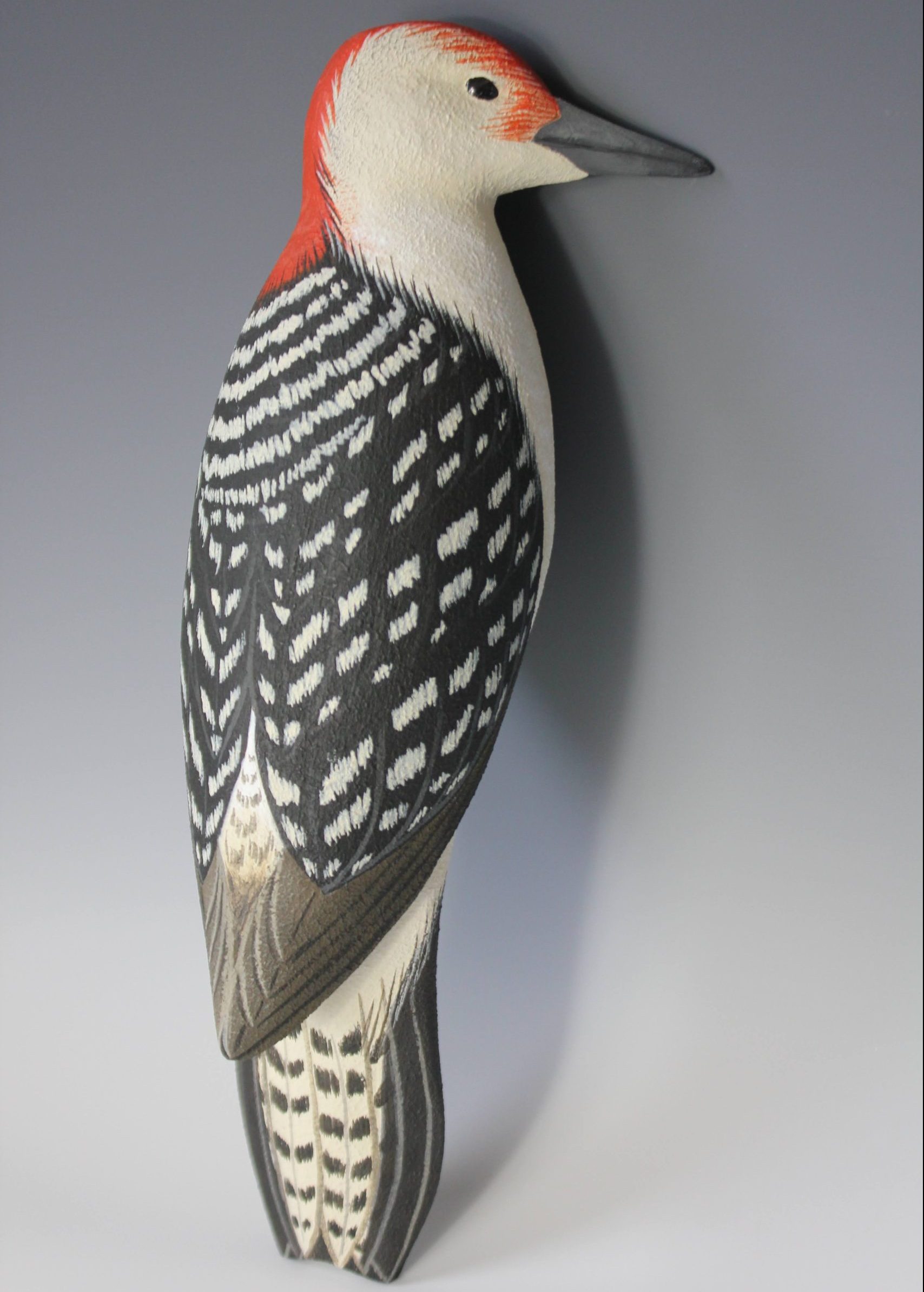 11. Best In Woodpeckers Red Bellied Woodpecker By Ross Smoker