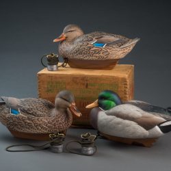 2019 Ward's World Bird Carving Competition