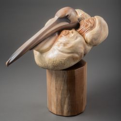 Brown Pelican by Lynn Branson (2017)